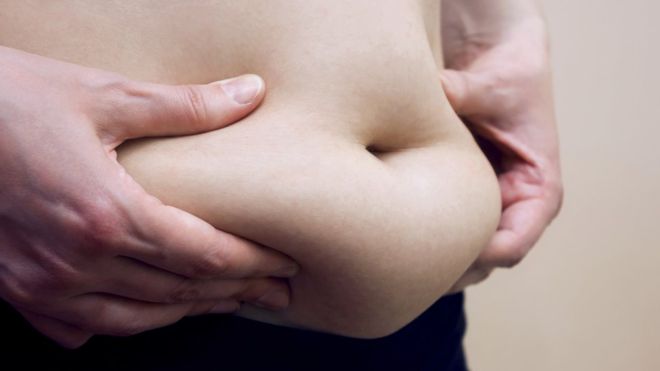Fat