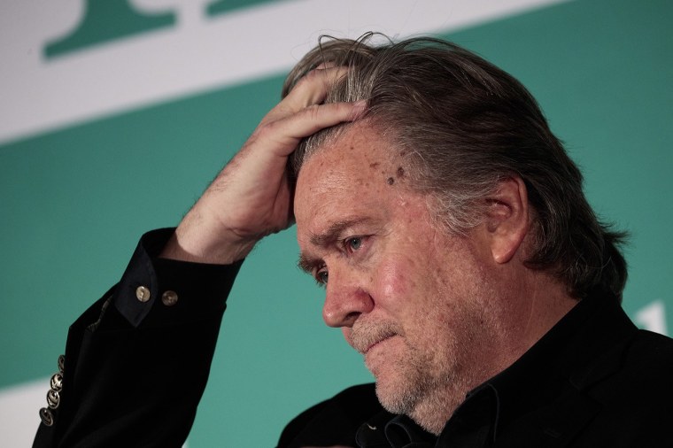 steve bannon mercer money