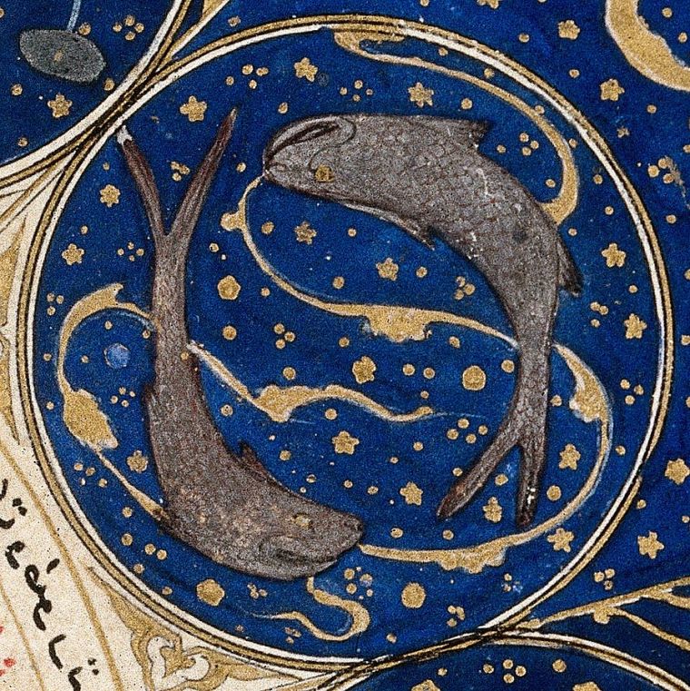 Pisces_-_Horoscope_from_'The_book_of_birth_of_Iskandar__Wellcome_L0040147
