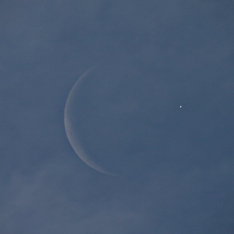 venus-occultation