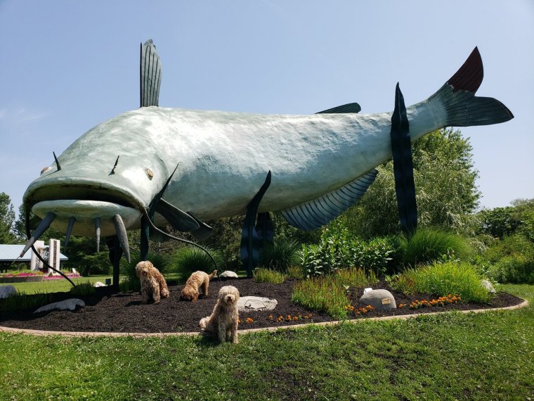 muddy-the-mudcat-statue