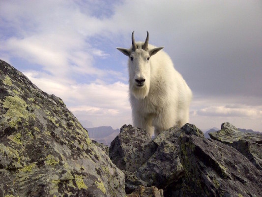 unspecified-10-533x400